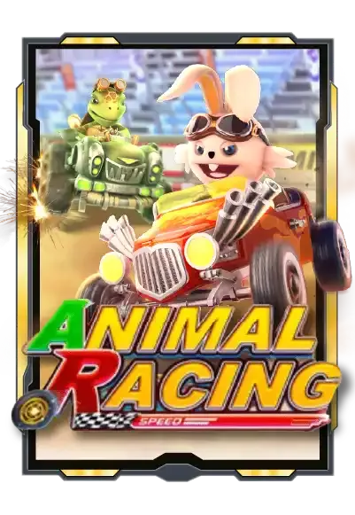 animal-racing